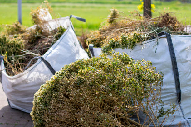 Best Professional Junk Removal  in Gretna, NE